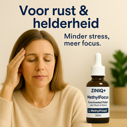 ZINIQ+ MethylFocus — Geactiveerd Folaat voor Volwassenen die Rust én Focus Willen